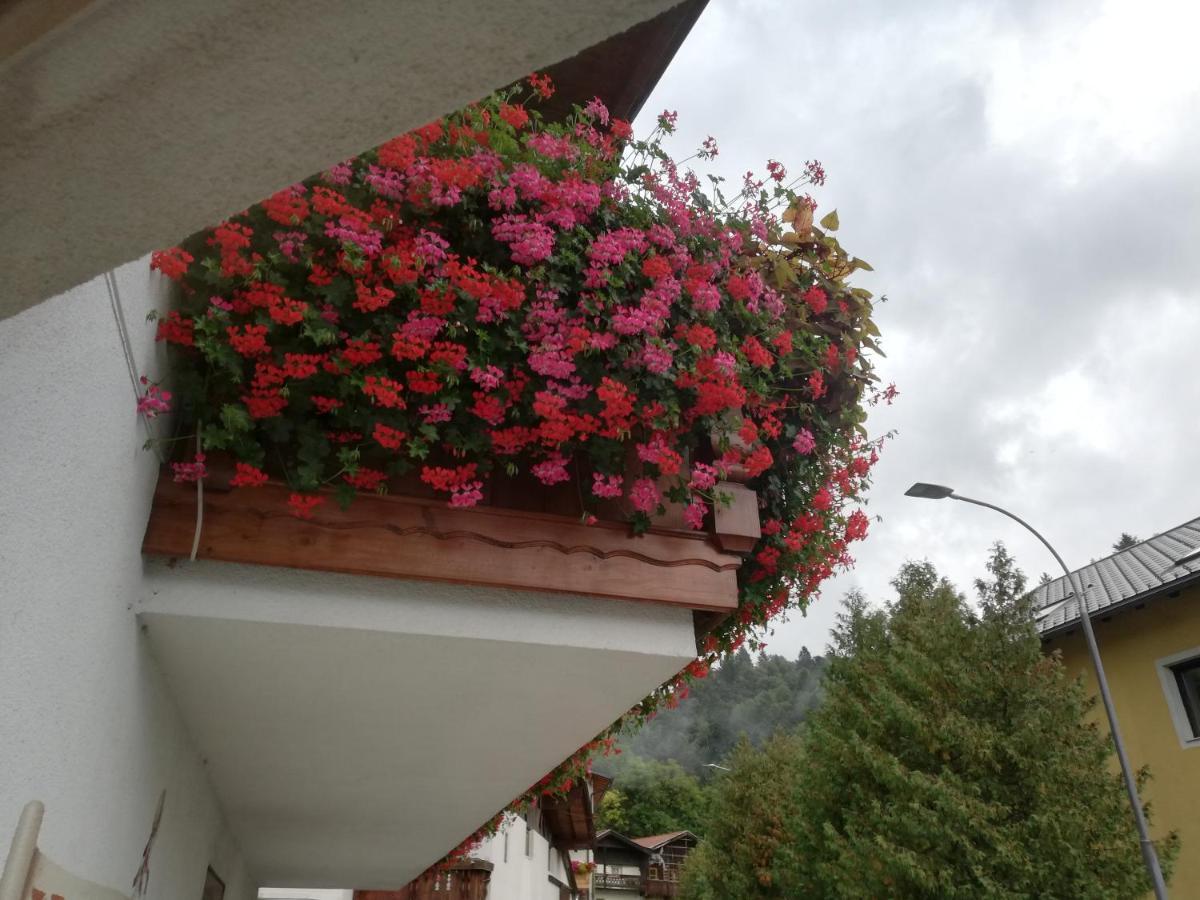 Haus Georg Apartment Innsbruck Luaran gambar